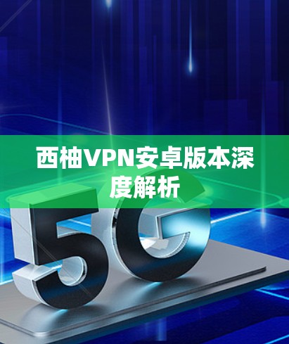 西柚VPN安卓版本深度解析