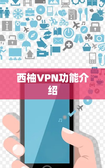 西柚VPN功能介绍
