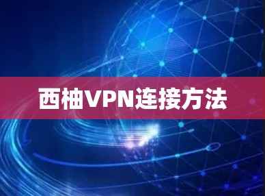 西柚VPN连接方法