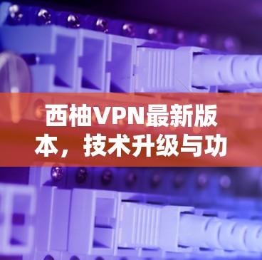 西柚VPN最新版本，技术升级与功能优化