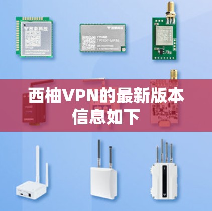 西柚VPN的最新版本信息如下
