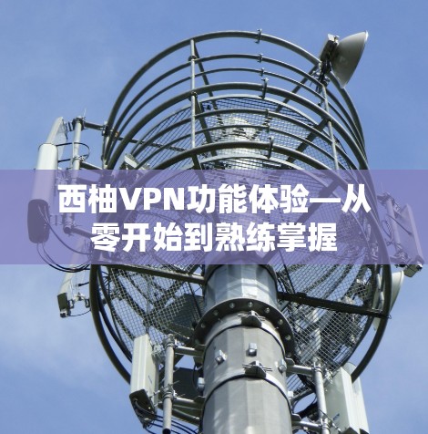 西柚VPN功能体验—从零开始到熟练掌握
