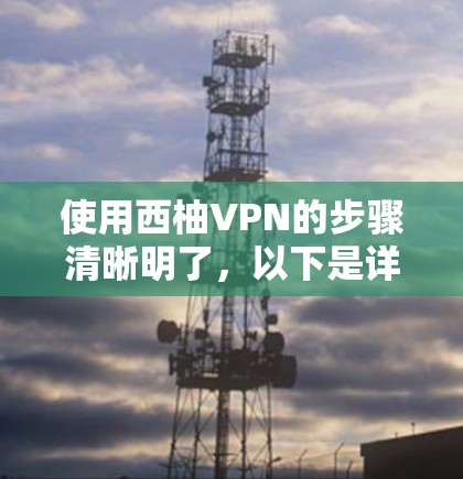 使用西柚VPN的步骤清晰明了，以下是详细的分步指南