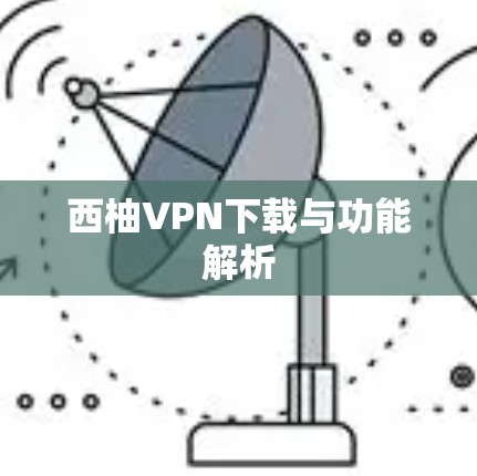 西柚VPN下载与功能解析