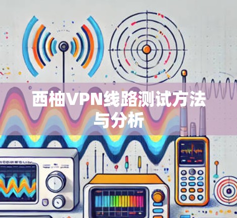 西柚VPN线路测试方法与分析