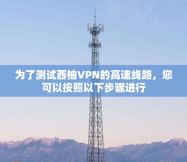 为了测试西柚VPN的高速线路，您可以按照以下步骤进行