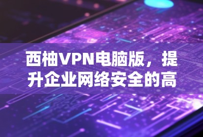 西柚VPN电脑版，提升企业网络安全的高效解决方案