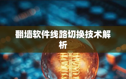 翻墙软件线路切换技术解析
