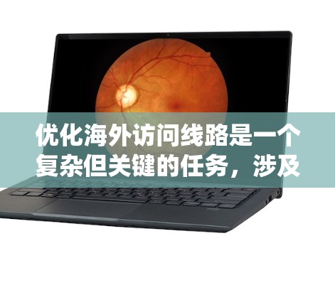 优化海外访问线路是一个复杂但关键的任务，涉及多个方面的考量。以下是对优化策略的系统化总结