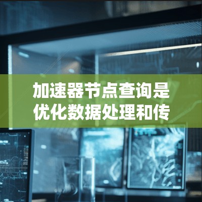 加速器节点查询是优化数据处理和传输效率的重要技术，通过插入加速器节点来提升系统性能。以下是对加速器节点查询的详细总结