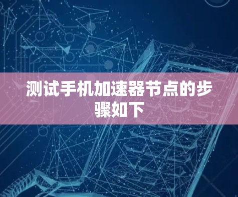 测试手机加速器节点的步骤如下