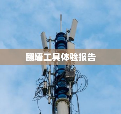 翻墙工具体验报告