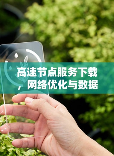 高速节点服务下载，网络优化与数据传输的关键