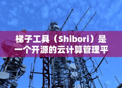 梯子工具（Shibori）是一个开源的云计算管理平台，专注于为开发者提供灵活的资源管理选项。以下是关于梯子工具机场资源的详细指南，帮助您充分利用云资源