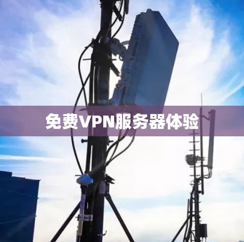 免费VPN服务器体验
