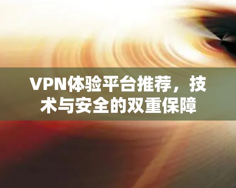 VPN体验平台推荐，技术与安全的双重保障