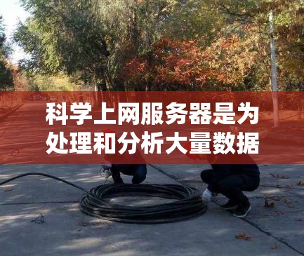 科学上网服务器是为处理和分析大量数据而设计的高性能服务器软件，常见于科学计算、数据分析和大数据处理领域。以下是对这些服务器的详细分析和排名
