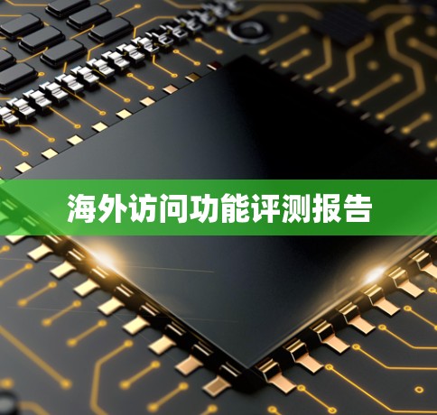 海外访问功能评测报告