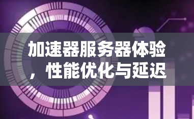 加速器服务器体验，性能优化与延迟降低的关键