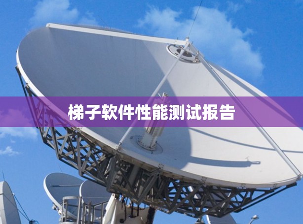 梯子软件性能测试报告