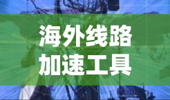 海外线路加速工具体验分析