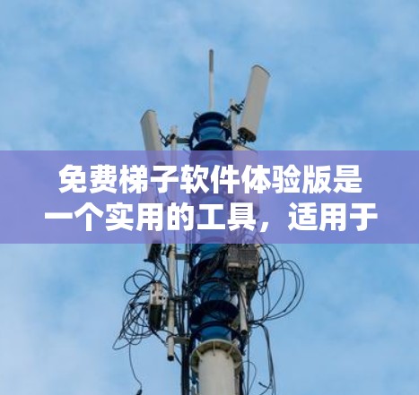 免费梯子软件体验版是一个实用的工具，适用于需要抓取网页内容的用户。以下是对该软件的详细介绍和使用建议