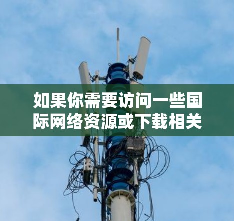 如果你需要访问一些国际网络资源或下载相关软件，以下是一些常用的海外网络访问工具和方法。请注意，部分工具可能需要遵守当地法律法规，确保合法使用