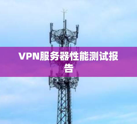 VPN服务器性能测试报告