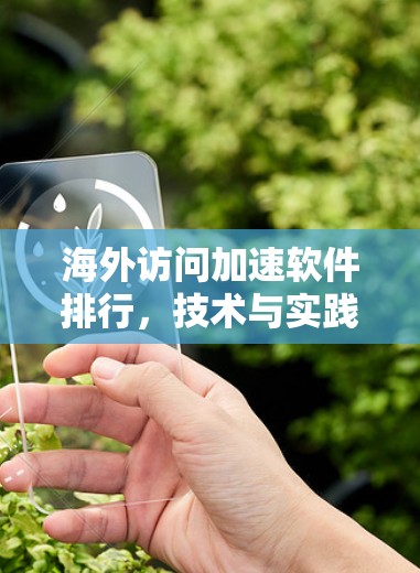海外访问加速软件排行，技术与实践解析