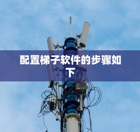 配置梯子软件的步骤如下