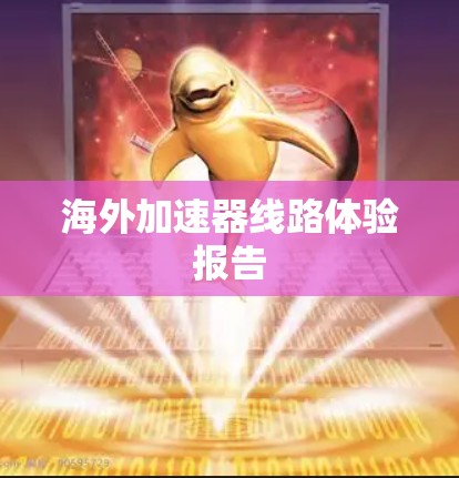 海外加速器线路体验报告