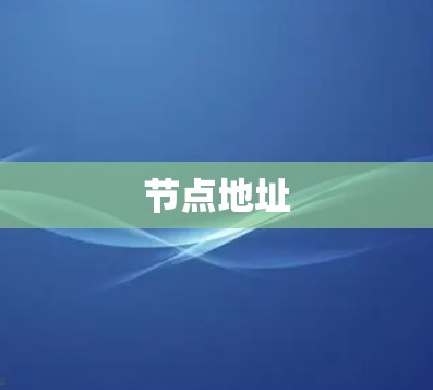 节点地址