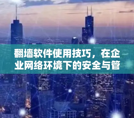 翻墙软件使用技巧，在企业网络环境下的安全与管理