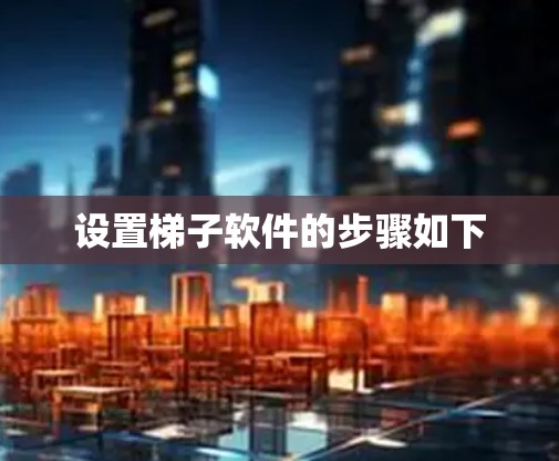 设置梯子软件的步骤如下