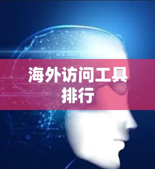 海外访问工具排行