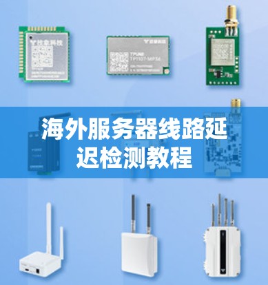海外服务器线路延迟检测教程