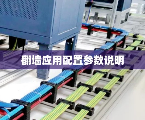 翻墙应用配置参数说明