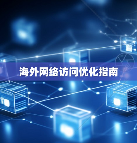 海外网络访问优化指南