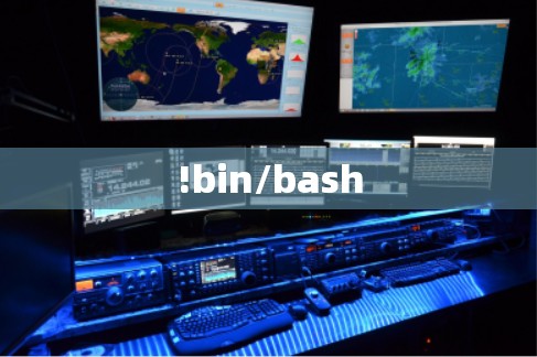 !bin/bash