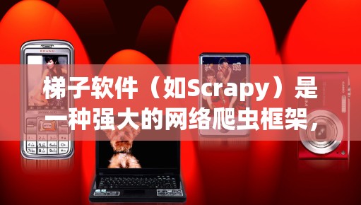 梯子软件（如Scrapy）是一种强大的网络爬虫框架，可以用于抓取网页数据。切换线路通常是指更换代理服务器、请求头或用户代理，以模拟不同的网络环境。以下是一些常见的梯子软件线路切换操作指南
