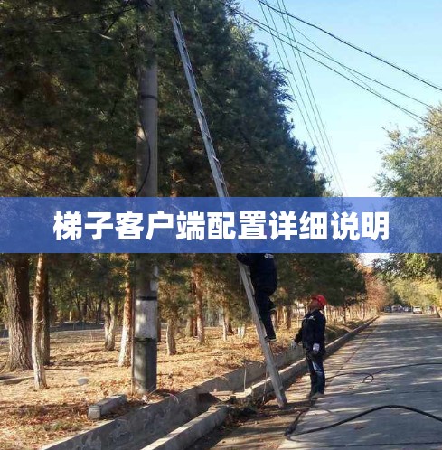 梯子客户端配置详细说明