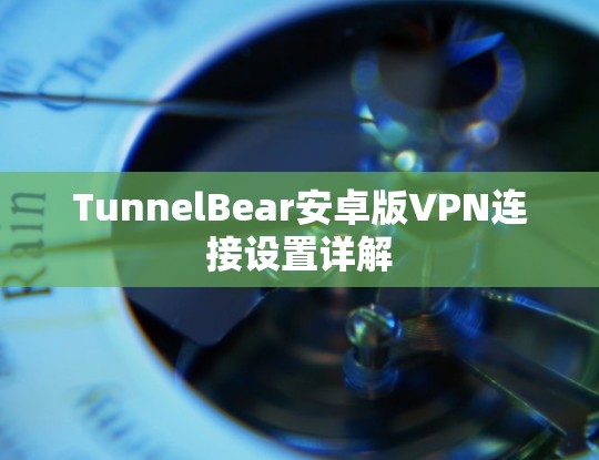 TunnelBear安卓版VPN连接设置详解