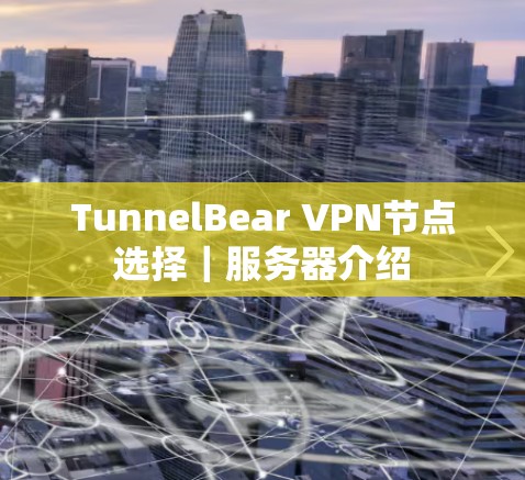 TunnelBear VPN节点选择｜服务器介绍