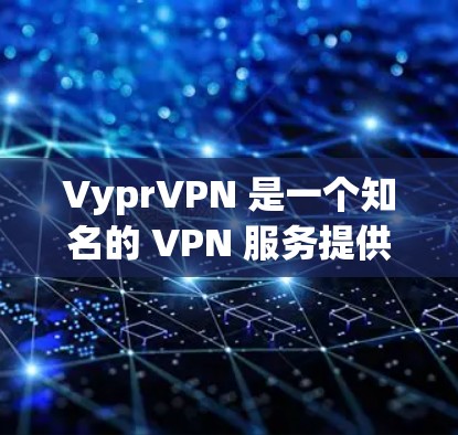 VyprVPN 是一个知名的 VPN 服务提供商，提供高性能的隐私保护和安全连接。为了帮助用户评估 VyprVPN 的服务器速度和性能，以下是一些关键的测试和分析步骤