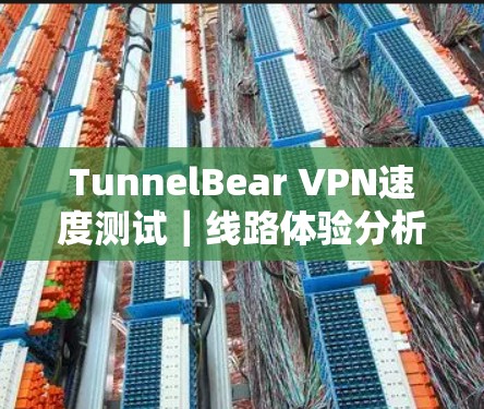 TunnelBear VPN速度测试｜线路体验分析