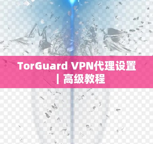 TorGuard VPN代理设置｜高级教程