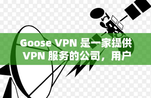 Goose VPN 是一家提供 VPN 服务的公司，用户可能在寻找替代方案。以下是一些热门的 VPN 工具进行比较，供你参考
