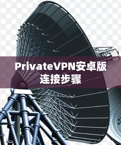 PrivateVPN安卓版连接步骤