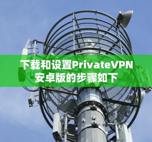 下载和设置PrivateVPN安卓版的步骤如下