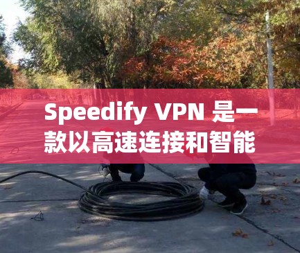 Speedify VPN 是一款以高速连接和智能网络选择为特色的事业用 VPN，适合需要稳定网络连接的用户。然而，如果你正在寻找其他替代软件或想了解 VPN 工具的比较，这里是一些相关信息和推荐